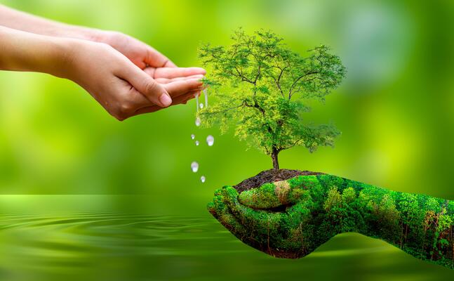 Environmental Protection